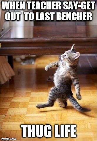 Cool Cat Stroll Meme | WHEN TEACHER SAY-GET OUT
 TO LAST BENCHER; THUG LIFE | image tagged in memes,cool cat stroll | made w/ Imgflip meme maker