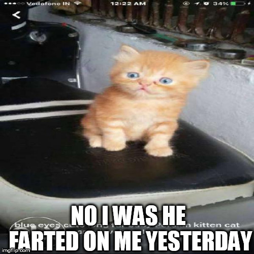 NO I WAS HE FARTED ON ME YESTERDAY | made w/ Imgflip meme maker