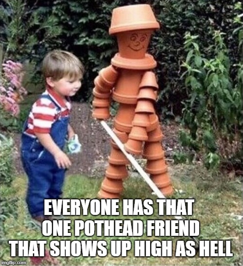 pothead | EVERYONE HAS THAT ONE POTHEAD FRIEND THAT SHOWS UP HIGH AS HELL | image tagged in pothead,funny | made w/ Imgflip meme maker