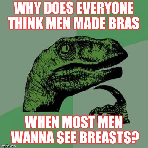Maybe it was a gay man.. | WHY DOES EVERYONE THINK MEN MADE BRAS; WHEN MOST MEN WANNA SEE BREASTS? | image tagged in memes,philosoraptor,nsfw,breasts,bras | made w/ Imgflip meme maker