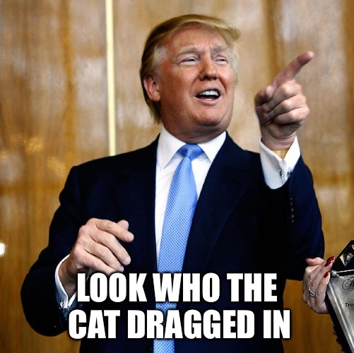 Donal Trump Birthday | LOOK WHO THE CAT DRAGGED IN | image tagged in donal trump birthday | made w/ Imgflip meme maker
