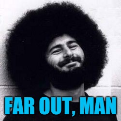 Is he talking about his hair? | FAR OUT, MAN | image tagged in sib hashian | made w/ Imgflip meme maker