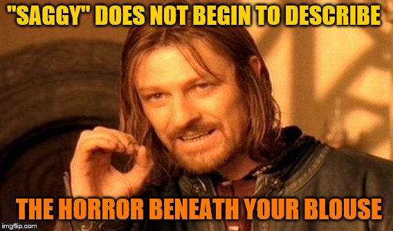 One Does Not Simply Meme | "SAGGY" DOES NOT BEGIN TO DESCRIBE THE HORROR BENEATH YOUR BLOUSE | image tagged in memes,one does not simply | made w/ Imgflip meme maker