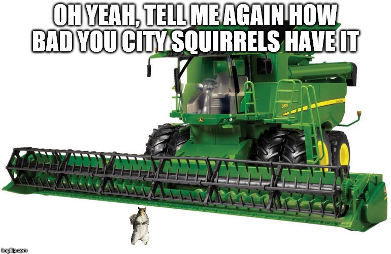 OH YEAH, TELL ME AGAIN HOW BAD YOU CITY SQUIRRELS HAVE IT | made w/ Imgflip meme maker