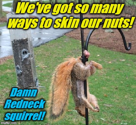 We've got so many ways to skin our nuts! Damn Redneck squirrel! | made w/ Imgflip meme maker