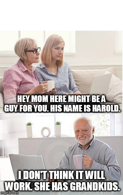 Are we sure Harold isn't BLB from the future or something? | HEY MOM HERE MIGHT BE A GUY FOR YOU. HIS NAME IS HAROLD. I DON'T THINK IT WILL WORK. SHE HAS GRANDKIDS. | image tagged in hide the pain harold,online dating,memes | made w/ Imgflip meme maker