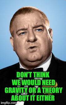 DON’T THINK WE WOULD NEED GRAVITY OR A THEORY ABOUT IT EITHER | made w/ Imgflip meme maker