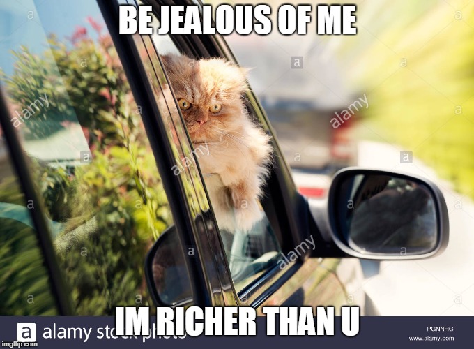 grumpy rich  | BE JEALOUS OF ME; IM RICHER THAN U | image tagged in grumpy cats rule the earth,grumpies  are rich | made w/ Imgflip meme maker