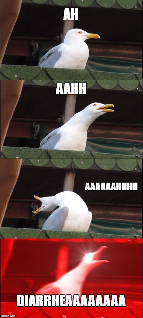 Inhaling Seagull Meme | AH; AAHH; AAAAAAHHHH; DIARRHEAAAAAAAA | image tagged in memes,inhaling seagull | made w/ Imgflip meme maker