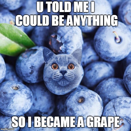 grape inspired | U TOLD ME I COULD BE ANYTHING; SO I BECAME A GRAPE | image tagged in cat grape,u told me i could be anything,i am th da grape | made w/ Imgflip meme maker