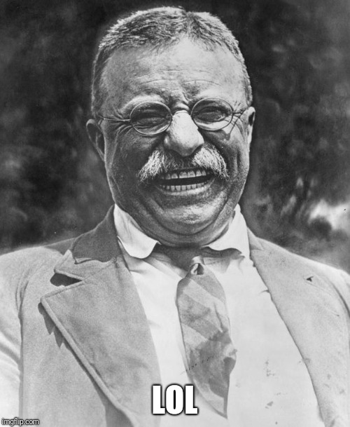 Teddy Roosevelt | LOL | image tagged in teddy roosevelt | made w/ Imgflip meme maker