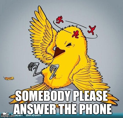 Dizzy | SOMEBODY PLEASE ANSWER THE PHONE | image tagged in dizzy | made w/ Imgflip meme maker