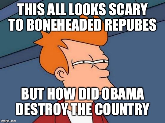 Futurama Fry Meme | THIS ALL LOOKS SCARY TO BONEHEADED REPUBES BUT HOW DID OBAMA DESTROY THE COUNTRY | image tagged in memes,futurama fry | made w/ Imgflip meme maker