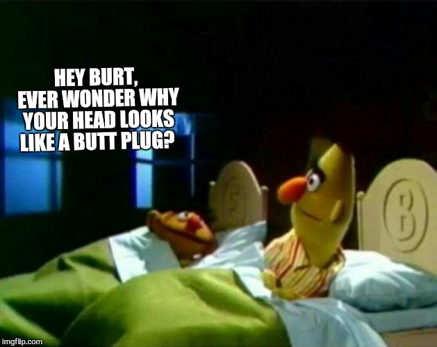 Because some things seen can never be unseen | HEY BURT, EVER WONDER WHY YOUR HEAD LOOKS LIKE A BUTT PLUG? | image tagged in ernie and bert,funny,sesame street,memes | made w/ Imgflip meme maker