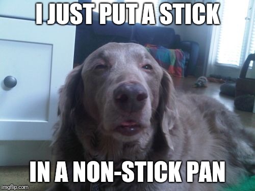 High Dog Meme | I JUST PUT A STICK IN A NON-STICK PAN | image tagged in memes,high dog,stick,ilikepie314159265358979 | made w/ Imgflip meme maker