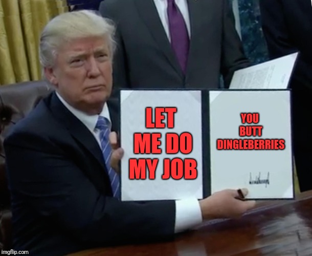 Trump Bill Signing Meme |  LET ME DO MY JOB; YOU BUTT DINGLEBERRIES | image tagged in memes,trump bill signing | made w/ Imgflip meme maker