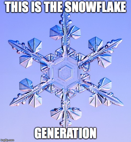 Special snowflake | THIS IS THE SNOWFLAKE; GENERATION | image tagged in special snowflake | made w/ Imgflip meme maker