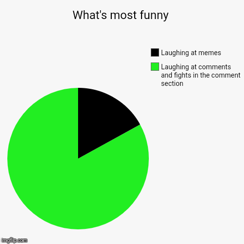 What's most funny | Laughing at comments and fights in the comment section , Laughing at memes | image tagged in funny,pie charts | made w/ Imgflip chart maker