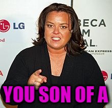 Rosie O'Donnell Pointing | YOU SON OF A | image tagged in rosie o'donnell pointing | made w/ Imgflip meme maker