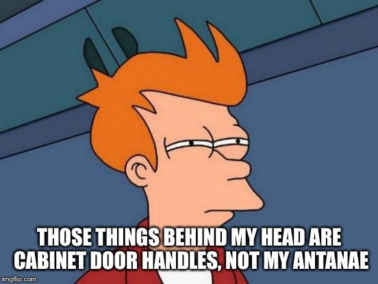 Futurama Fry | THOSE THINGS BEHIND MY HEAD ARE CABINET DOOR HANDLES, NOT MY ANTANAE | image tagged in memes,futurama fry | made w/ Imgflip meme maker