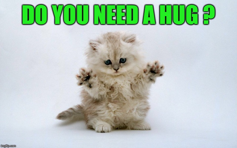 DO YOU NEED A HUG ? | made w/ Imgflip meme maker