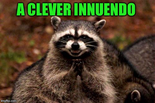 Evil Plotting Raccoon Meme | A CLEVER INNUENDO | image tagged in memes,evil plotting raccoon | made w/ Imgflip meme maker