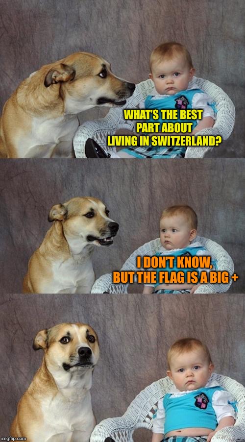 Dad Joke Dog Meme | WHAT’S THE BEST PART ABOUT LIVING IN SWITZERLAND? I DON’T KNOW, BUT THE FLAG IS A BIG + | image tagged in memes,dad joke dog | made w/ Imgflip meme maker