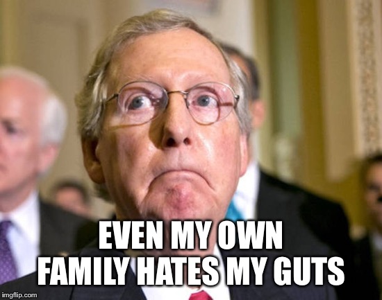 Mitch McConnell | EVEN MY OWN FAMILY HATES MY GUTS | image tagged in mitch mcconnell | made w/ Imgflip meme maker