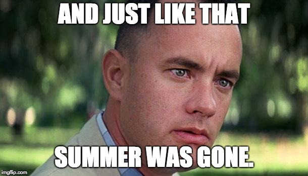 Forest Gump | AND JUST LIKE THAT; SUMMER WAS GONE. | image tagged in forest gump | made w/ Imgflip meme maker