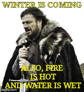 ned stark | WINTER IS COMING; ALSO, FIRE IS HOT AND WATER IS WET | image tagged in ned stark | made w/ Imgflip meme maker