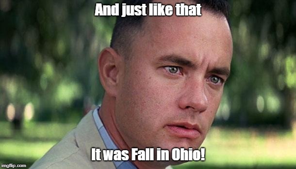 Forest Gump | And just like that; It was Fall in Ohio! | image tagged in forest gump | made w/ Imgflip meme maker