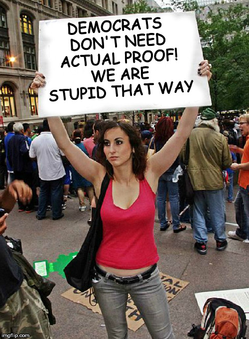 proteste | DEMOCRATS DON'T NEED ACTUAL PROOF! WE ARE STUPID THAT WAY | image tagged in proteste | made w/ Imgflip meme maker
