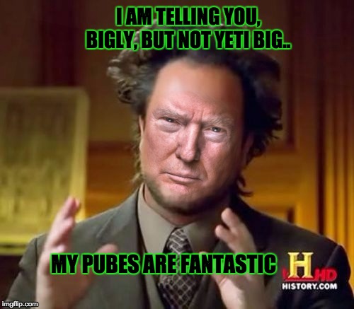 my pubes  | I AM TELLING YOU, BIGLY, BUT NOT YETI BIG.. MY PUBES ARE FANTASTIC | image tagged in ancient aliens,donald trump | made w/ Imgflip meme maker