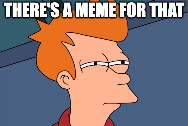 there's a meme for that | THERE'S A MEME FOR THAT | image tagged in meme,futurama fry | made w/ Imgflip meme maker