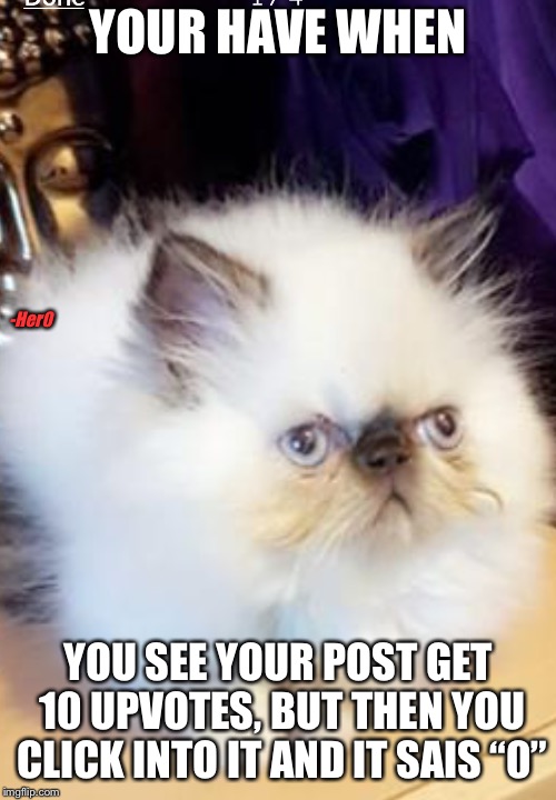 Cat face | YOUR HAVE WHEN; -Her0; YOU SEE YOUR POST GET 10 UPVOTES, BUT THEN YOU CLICK INTO IT AND IT SAIS “0” | image tagged in memes,funny cat memes | made w/ Imgflip meme maker