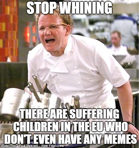 Chef Gordon Ramsay | STOP WHINING; THERE ARE SUFFERING CHILDREN IN THE EU WHO DON'T EVEN HAVE ANY MEMES | image tagged in memes,chef gordon ramsay | made w/ Imgflip meme maker