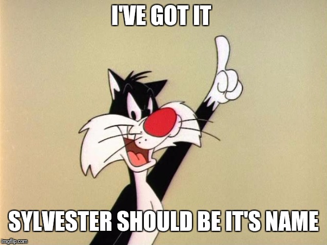 Sylvester announces  | I'VE GOT IT SYLVESTER SHOULD BE IT'S NAME | image tagged in sylvester announces | made w/ Imgflip meme maker