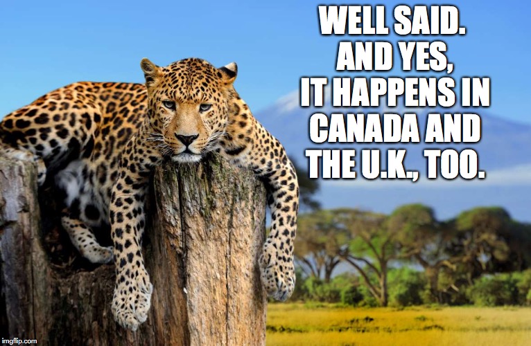 Most Interesting Leopard In The World | WELL SAID. AND YES, IT HAPPENS IN CANADA AND THE U.K., TOO. | image tagged in most interesting leopard in the world | made w/ Imgflip meme maker