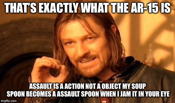 One Does Not Simply Meme | THAT’S EXACTLY WHAT THE AR-15 IS ASSAULT IS A ACTION NOT A OBJECT MY SOUP SPOON BECOMES A ASSAULT SPOON WHEN I JAM IT IN YOUR EYE | image tagged in memes,one does not simply | made w/ Imgflip meme maker