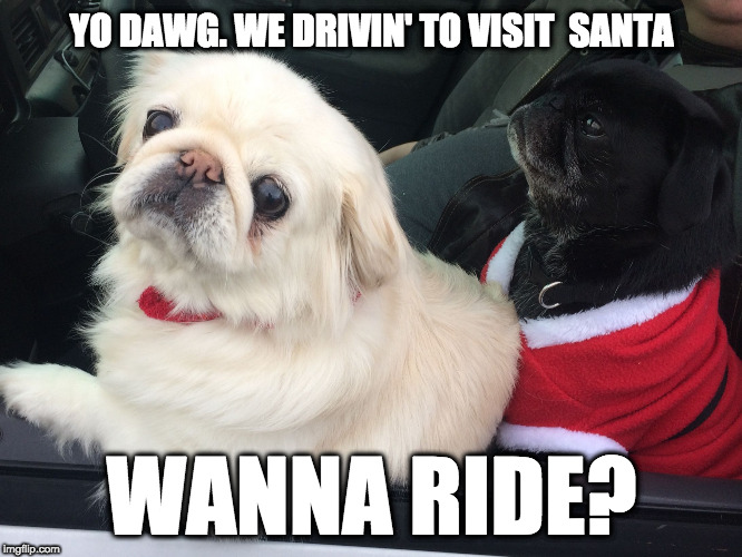 Jingle Pugs | YO DAWG. WE DRIVIN' TO VISIT  SANTA; WANNA RIDE? | image tagged in jingle pugs | made w/ Imgflip meme maker