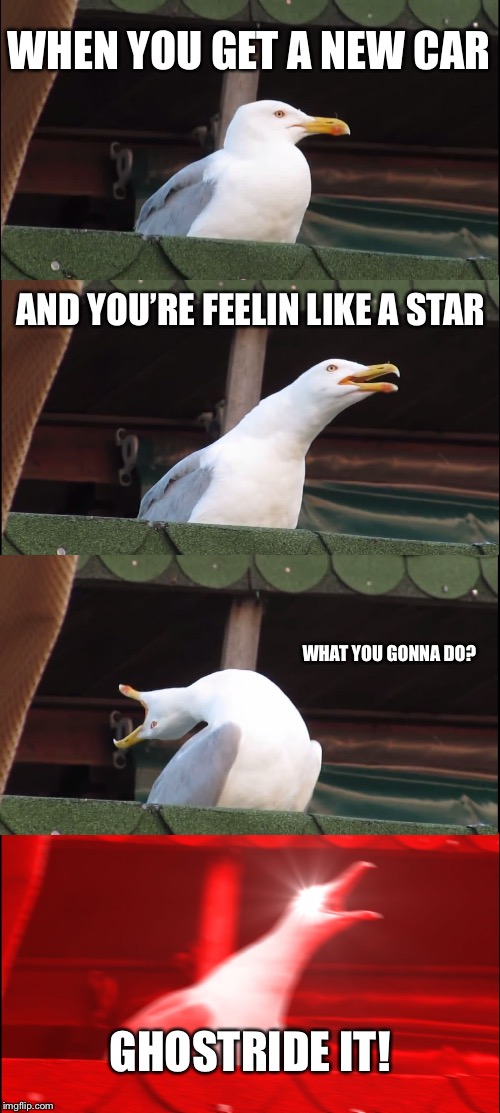 Inhaling Seagull Meme | WHEN YOU GET A NEW CAR AND YOU’RE FEELIN LIKE A STAR WHAT YOU GONNA DO? GHOSTRIDE IT! | image tagged in memes,inhaling seagull | made w/ Imgflip meme maker