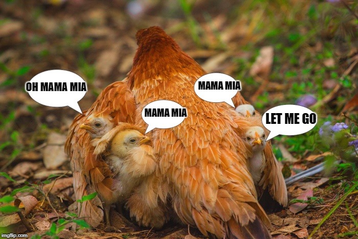 chick singers | MAMA MIA; OH MAMA MIA; MAMA MIA; LET ME GO | image tagged in bohemian rhapsody,chicks | made w/ Imgflip meme maker