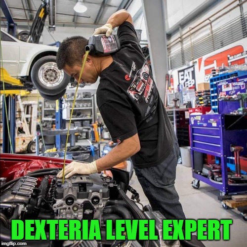 coordinated  | DEXTERIA LEVEL EXPERT | image tagged in dexteria,mechanic | made w/ Imgflip meme maker
