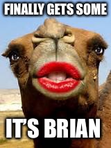 Camel Lipstick | FINALLY GETS SOME IT’S BRIAN | image tagged in camel lipstick | made w/ Imgflip meme maker