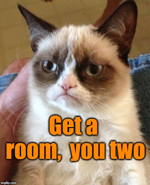 Grumpy Cat Meme | Get a room,  you two | image tagged in memes,grumpy cat | made w/ Imgflip meme maker
