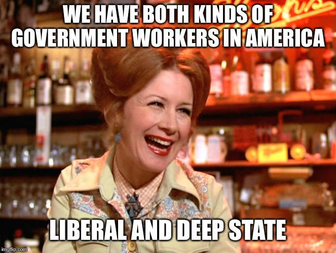 WE HAVE BOTH KINDS OF GOVERNMENT WORKERS IN AMERICA; LIBERAL AND DEEP STATE | image tagged in we have both kinds | made w/ Imgflip meme maker