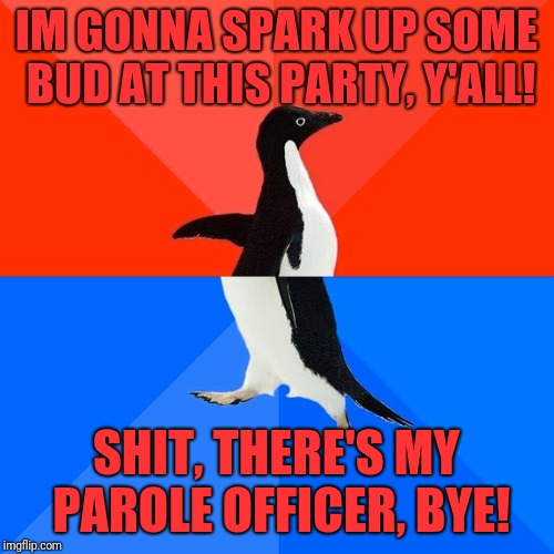 Socially Awesome Awkward Penguin Meme | IM GONNA SPARK UP SOME BUD AT THIS PARTY, Y'ALL! SHIT, THERE'S MY PAROLE OFFICER, BYE! | image tagged in memes,socially awesome awkward penguin | made w/ Imgflip meme maker