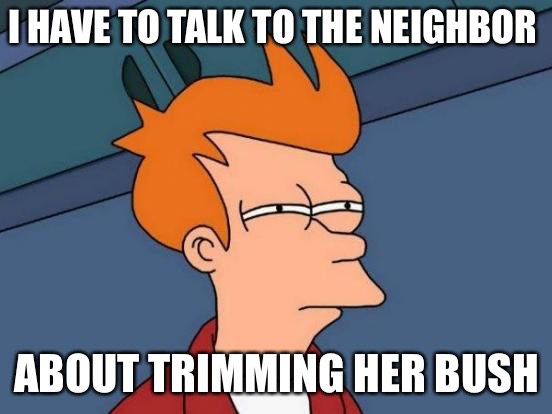 Futurama Fry | I HAVE TO TALK TO THE NEIGHBOR; ABOUT TRIMMING HER BUSH | image tagged in memes,futurama fry | made w/ Imgflip meme maker