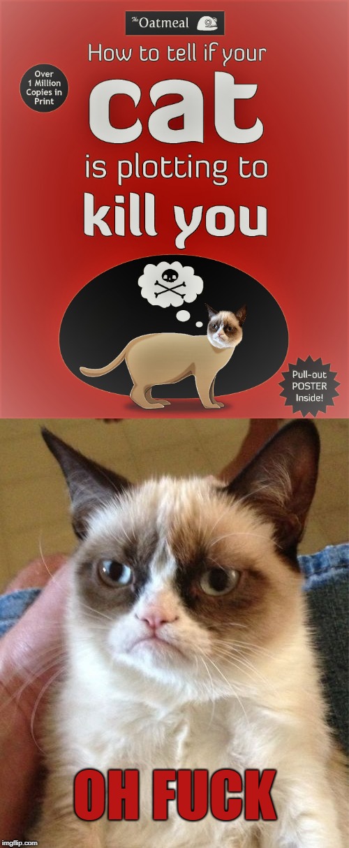 Grumpy cat the killer | OH FUCK | image tagged in memes,grumpy cat,cats,cats plot | made w/ Imgflip meme maker