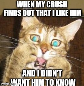 WHEN MY CRUSH FINDS OUT THAT I LIKE HIM; AND I DIDN'T WANT HIM TO KNOW | image tagged in freaked out | made w/ Imgflip meme maker
